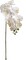 12-Pack: Real Touch White Phalaenopsis Orchid Stem, Floral Home by Artificial Flowers
